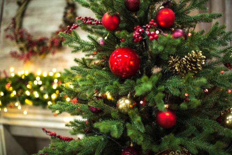 Врачи  спасли пятимесячного ребенка из Красногорска, в бронхах которого нашли фрагмент новогодней ели