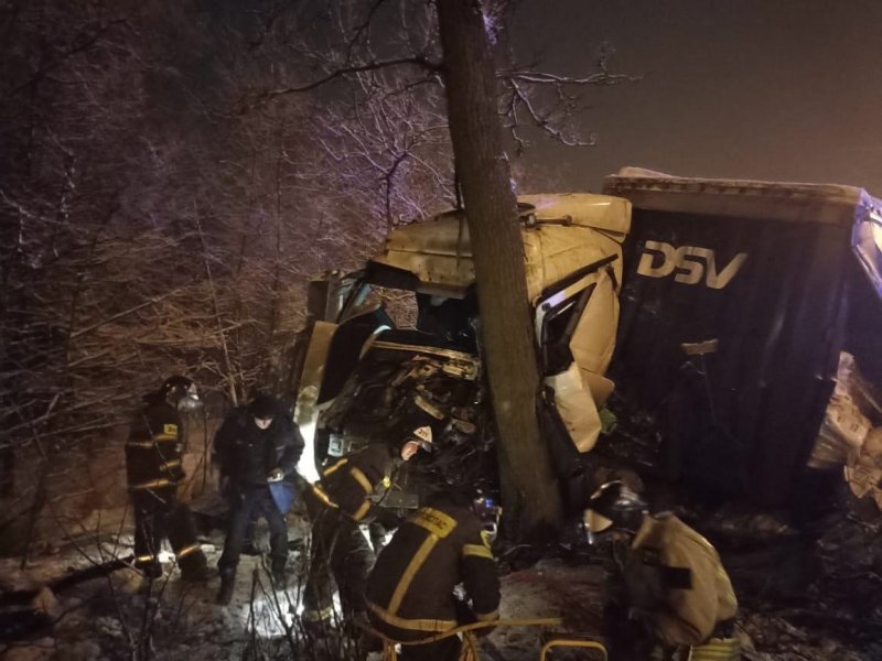 Спасатели в Чехове деблокировали водителя фуры, врезавшейся в дерево