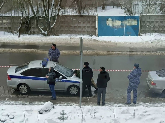 В Домодедово задержали мужчину, угрожавшего взорвать военкомат: видео