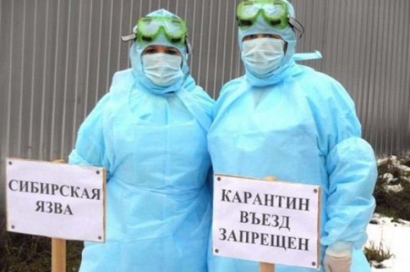 В Подмосковье госпитализировали больного с подозрением на сибирскую язву