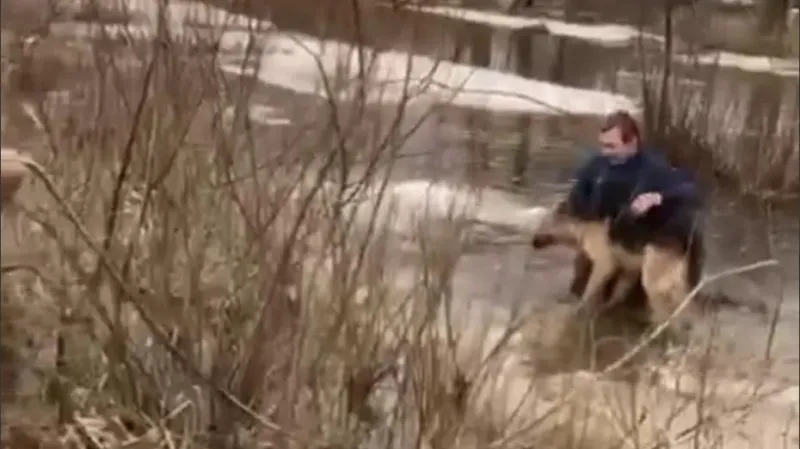 Староста деревни под Чеховом спас собаку: видео
