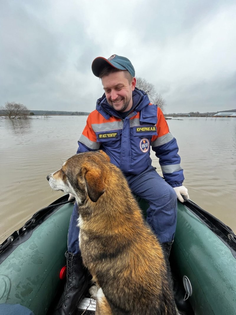 Спасатели эвакуировали из зоны подтопления в Серпухове собаку и кошку