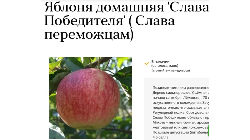 Жительница Орехово-Зуево донесла на питомник из-за названия сорта яблони