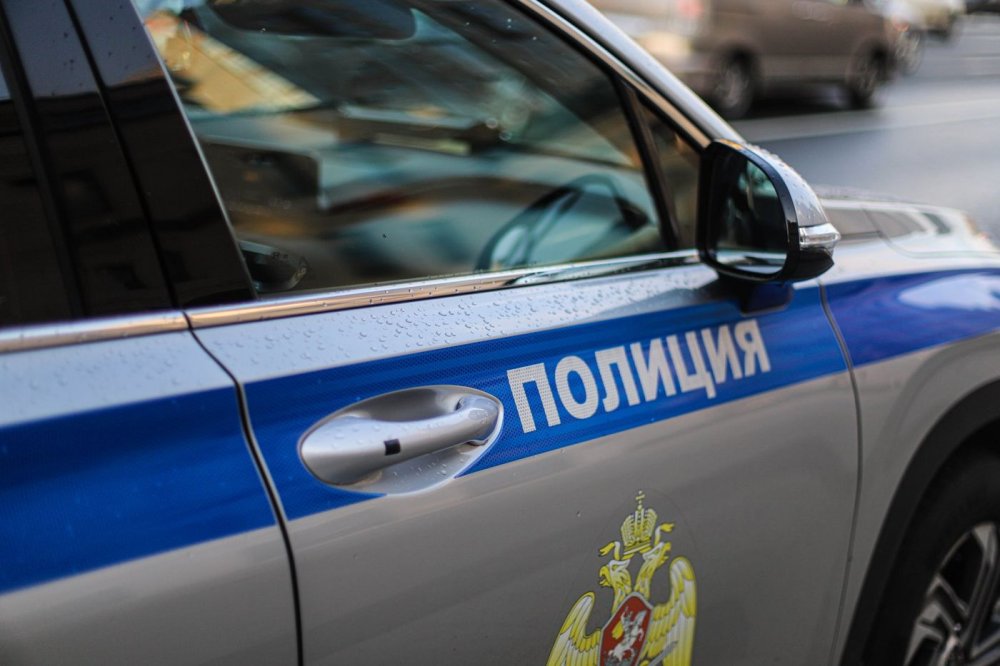 16 участников массовой драки под Красногорском доставили в полицию