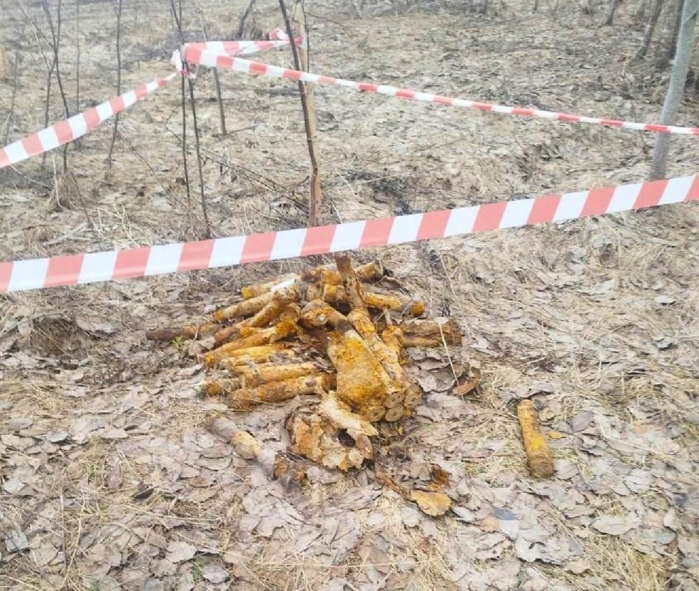 В Рузском горокруге нашли и обезвредили снаряды времен ВОВ