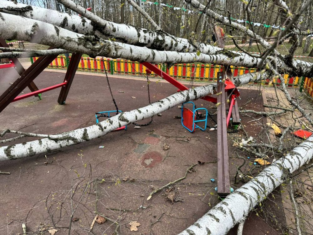 В Красногорске на девочку упало дерево