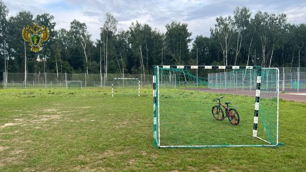 В Солнечногорске на ребёнка упали футбольные ворота