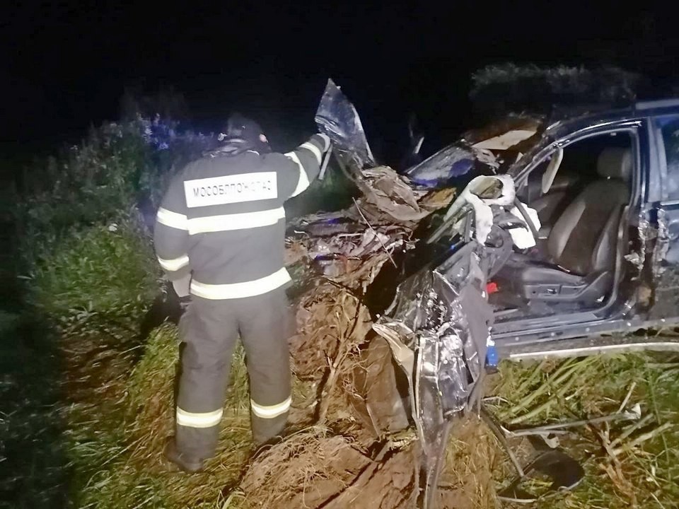 Во время ночной аварии с лошадью в Луховицах погиб водитель легкового авто