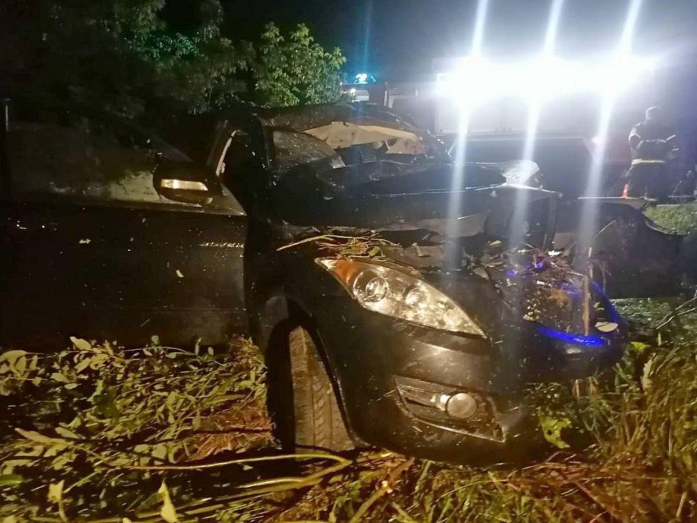 Во время ночной аварии с лошадью в Луховицах погиб водитель легкового авто