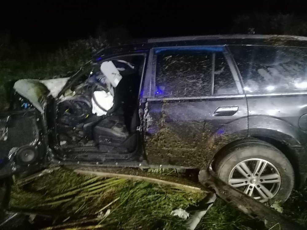 Во время ночной аварии с лошадью в Луховицах погиб водитель легкового авто