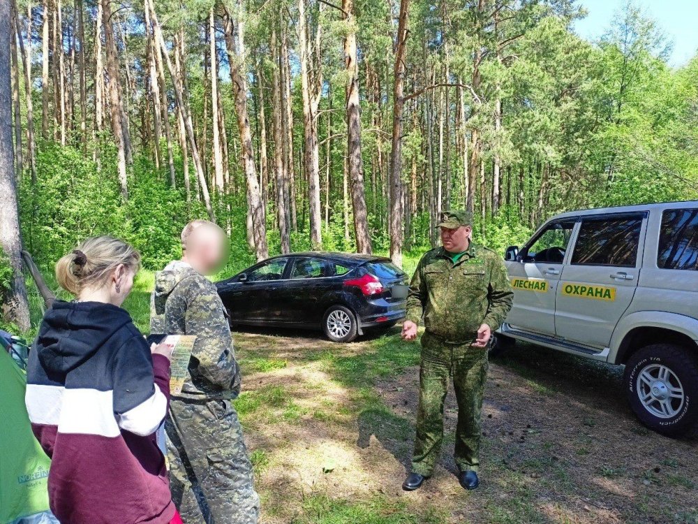 В Подмосковье ввели ограничения на пребывание в лесах