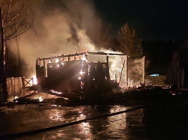 На пожаре в Химках погибли дети и их мать