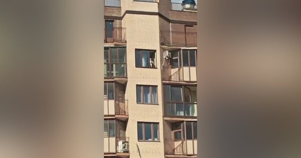 В Одинцово мужчина спас ребёнка, стоявшего на открытом окне многоэтажки