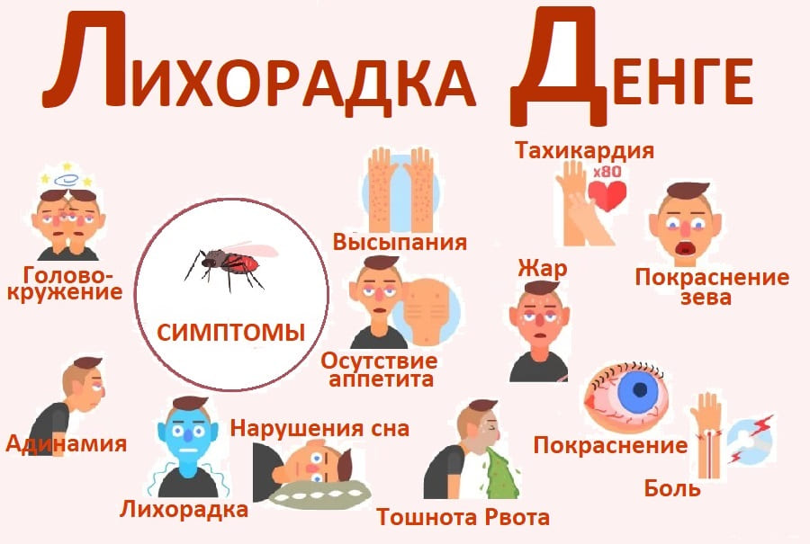 В Подмосковье мужчина привёз лихорадку денге
