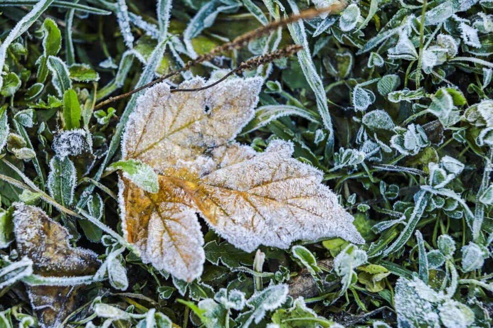 Отопительный сезон в Подмосковье начнётся с 23 сентября