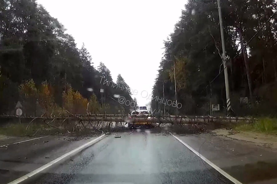 В Одинцове дерево едва не рухнуло на такси