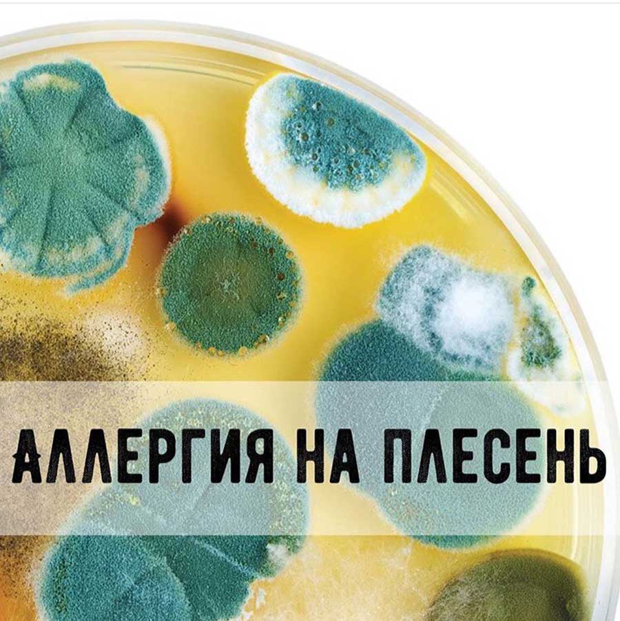 В Видном спасли подростка с аллергией на плесень