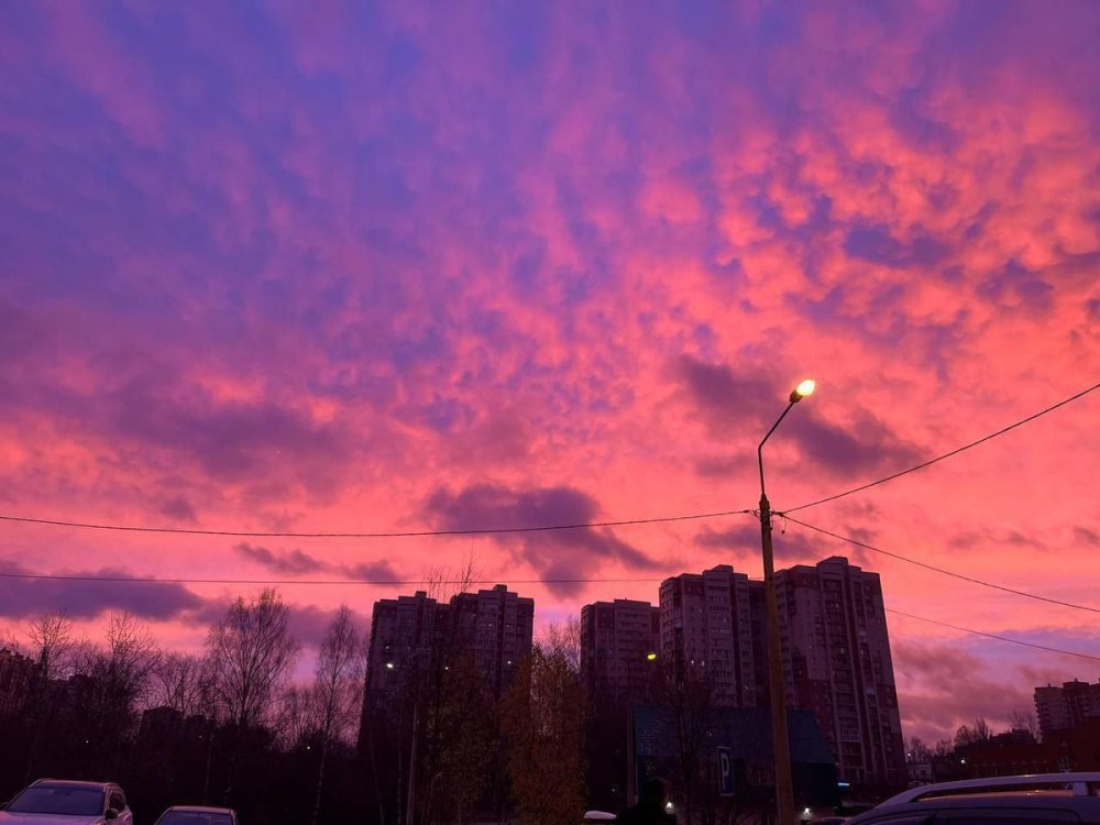 Жители Московского региона поделились снимками розового рассвета