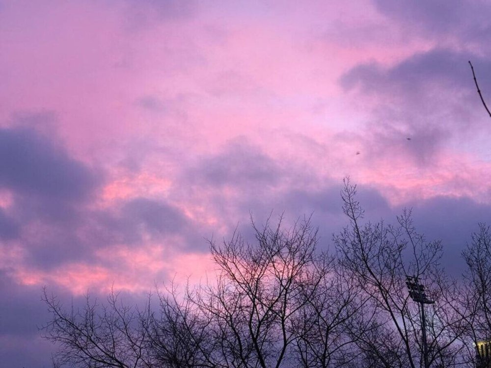 Жители Московского региона поделились снимками розового рассвета