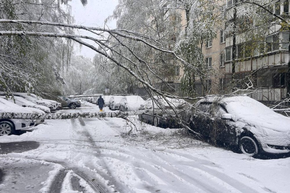 Синоптики рассказали, когда жителям Подмосковья стоит ожидать снегопада