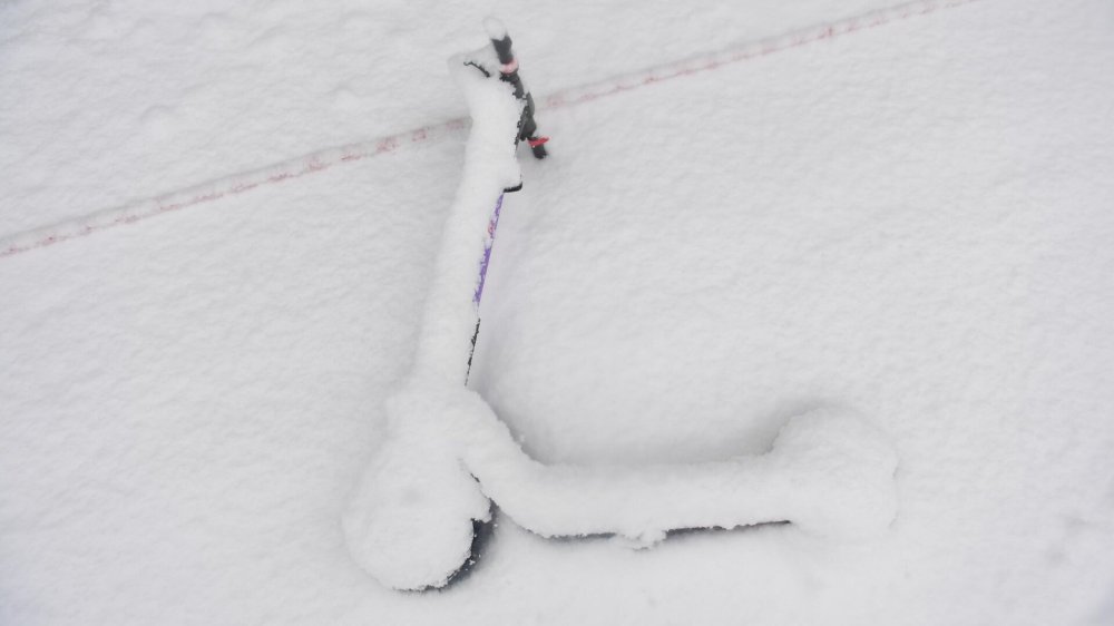 Пару из Красногорска задержали за воровство самокатов