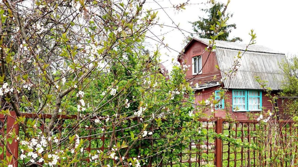 В Подмосковье свыше 3 тысяч жителей сменили статус дачного дома на жилой