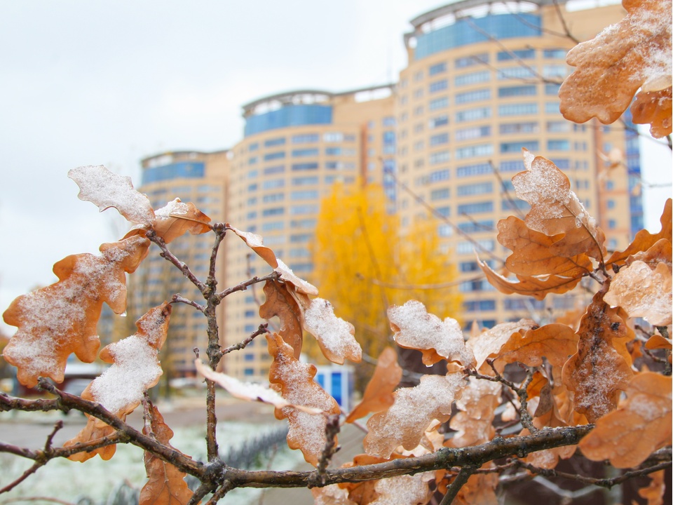 Жителям Подмосковья рассказали о погоде в декабре