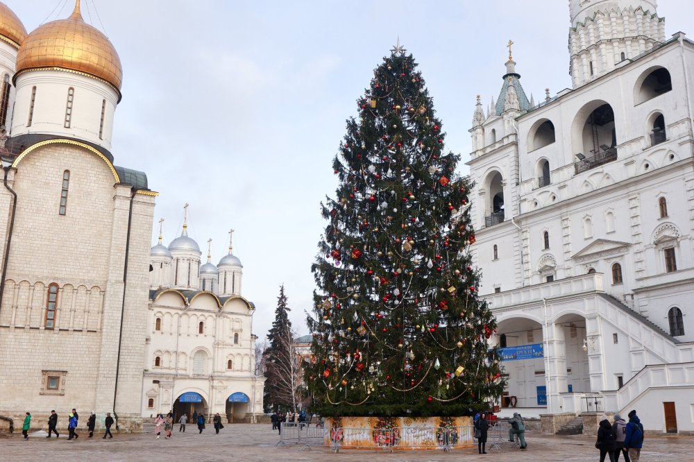 Лесничего из Наро-Фоминска наградили за елку