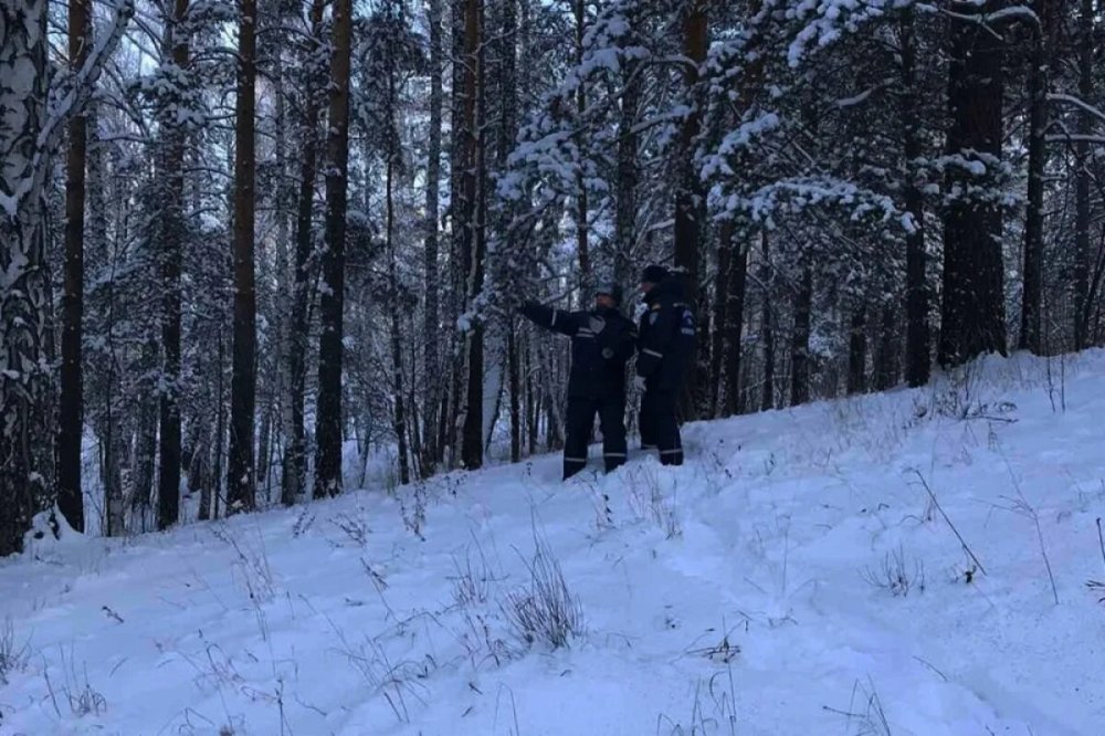 В Воскресенске спасли заблудившуюся в лесу семейную пару