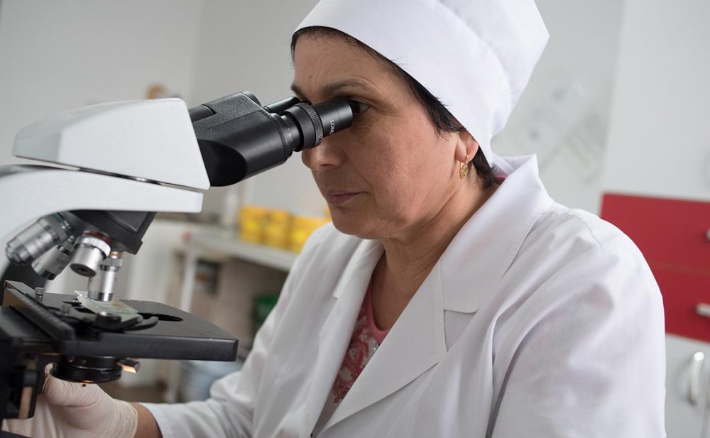 В Подмосковье выявили больных оспой обезьян и лихорадкой чикунгунья