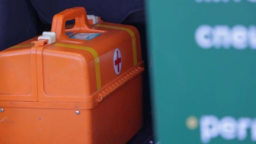 Робот Вита взял трубку: подмосковные ветеринары запустили круглосуточного помощника для хозяев животных