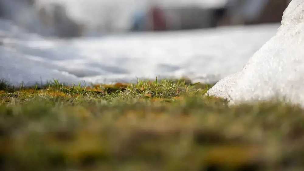 Москву ждет неделя без осадков: синоптики пообещали +12 и только один дождливый день