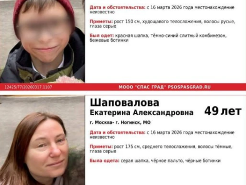 В Ногинске женщина расправилась с 12-летним сыном