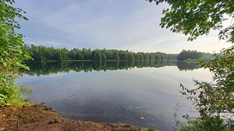 Тишина на воде: в Подмосковье ввели почти трехмесячный запрет на рыбалку ради спасения щуки и судака
