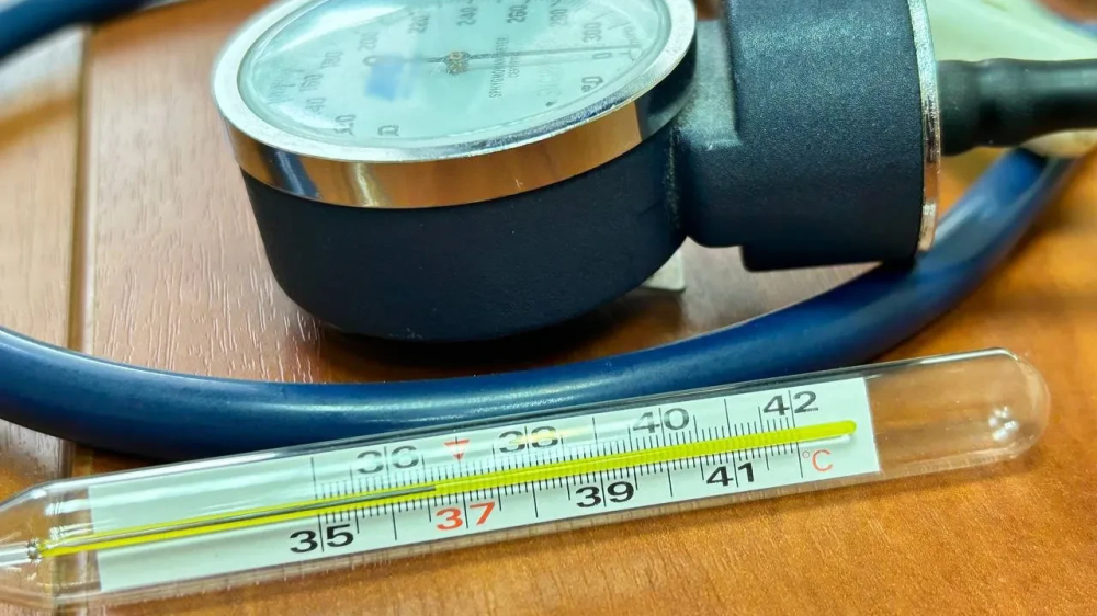 Врачи на колесах: в деревни Подольска приедет мобильный ФАП с ЭКГ и анализами