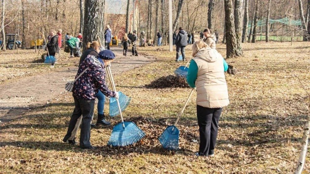 Субботники, мойка дорог и 146 тысяч цветов: в Чехове стартует «Месяц чистоты»