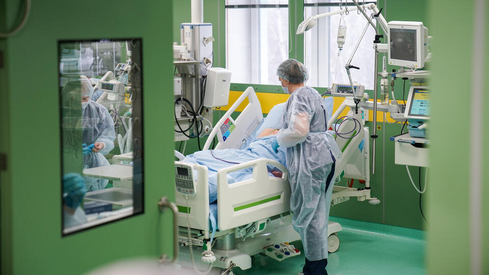 Роспортебнадзор проверяет случаи заболевания оспой обезьян в Подмосковье