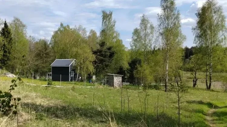 Можайск, Луховицы и Чехов — лидеры по числу земельных участков на торгах в Подмосковье