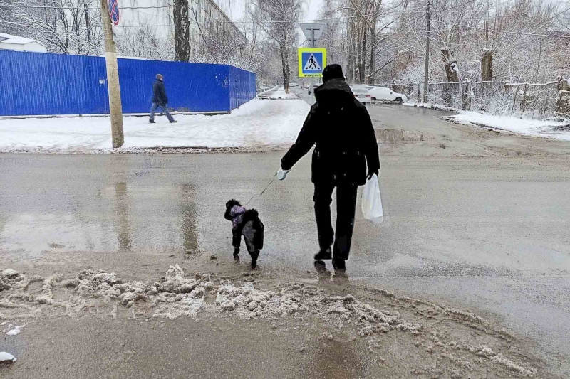 В Подмосковье вернулась зима