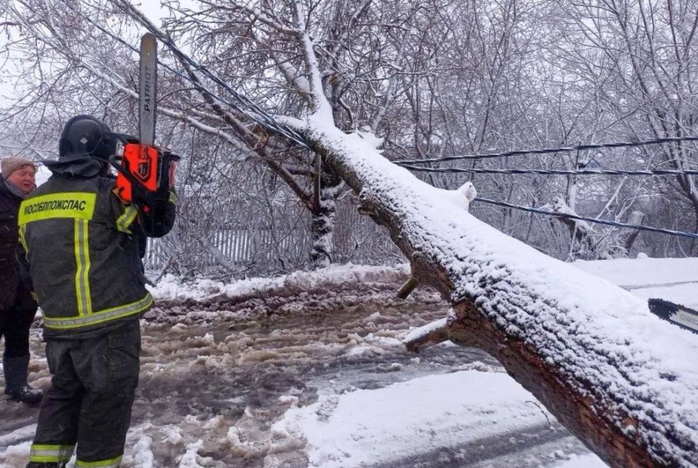 Прокуратура Подмосковья: организована проверка в связи с массовыми отключениями электроснабжения в регионе