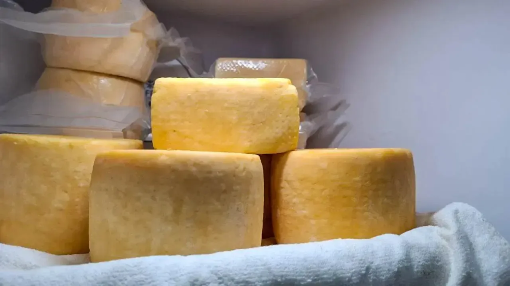 Молочный бум в Подмосковье: продажи масла, сыра и творога взлетели перед Пасхой