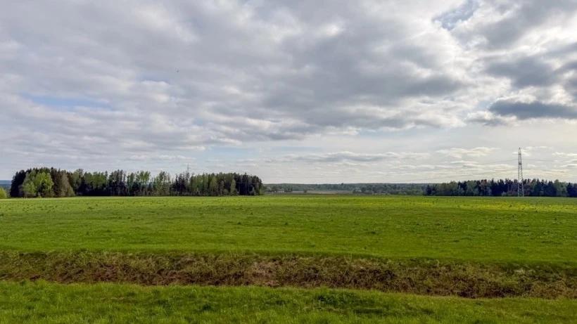 Участок под ИЖС в Богородском округе сдали в аренду в 11 раз дороже старта — за 5,7 млн рублей в год